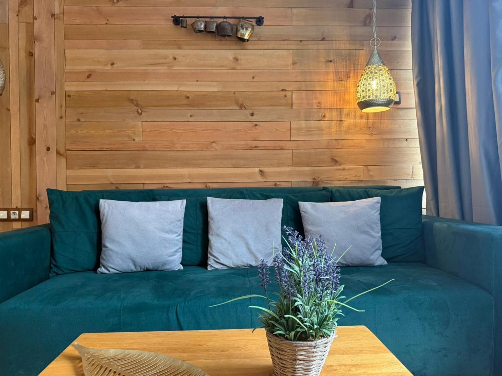 בורובץ Villas Mura With Spa & Hot Swimming Pool מראה חיצוני תמונה